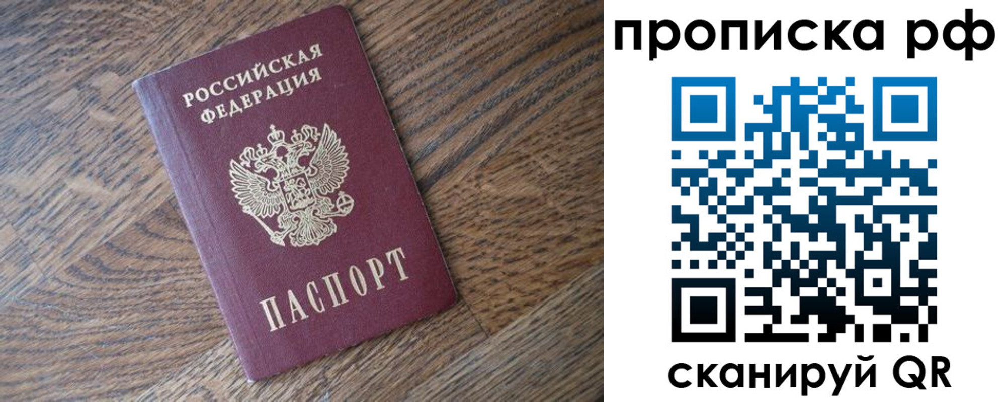 прописка поиск в Людиново